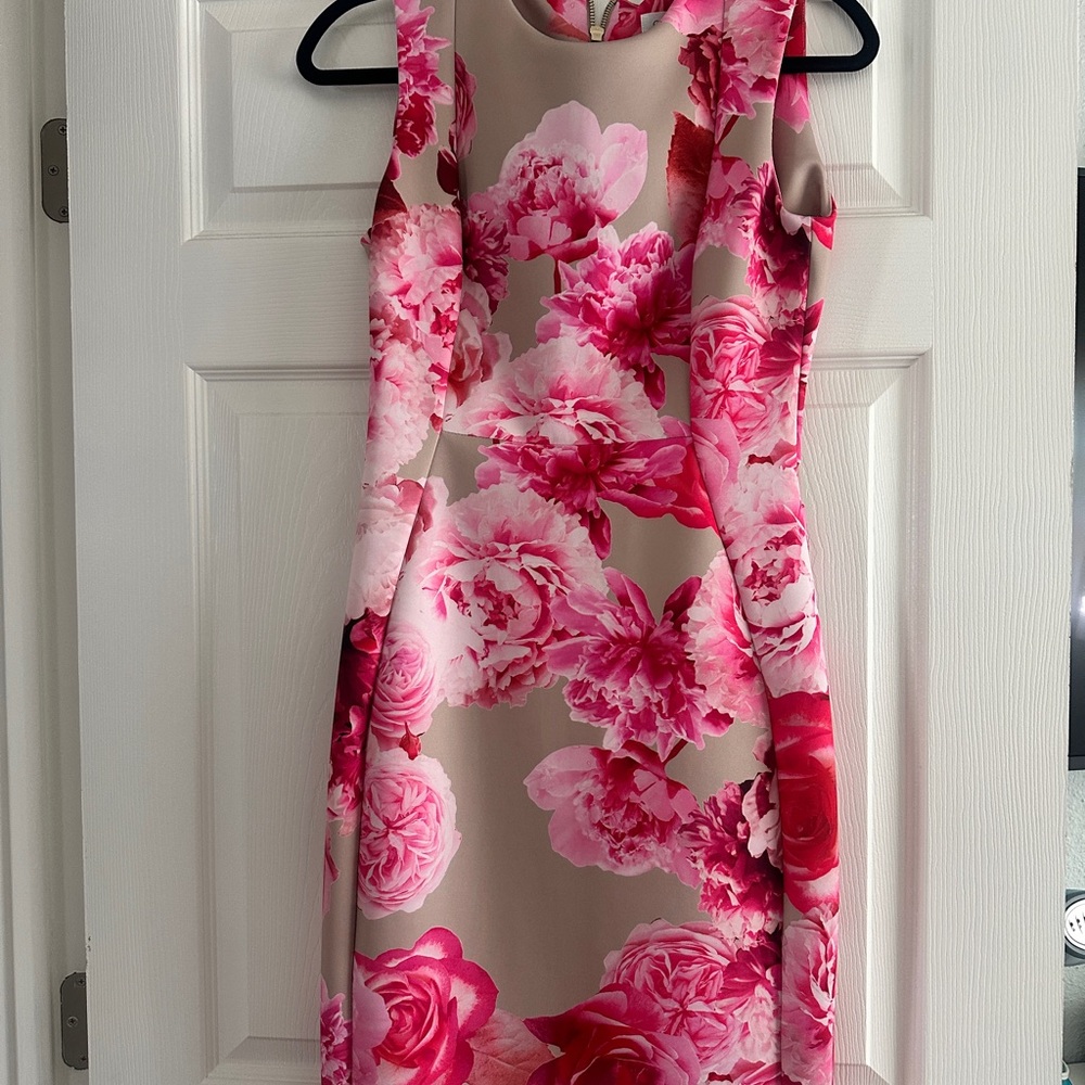 Calvin Klein Pink Halter Sheath Dress